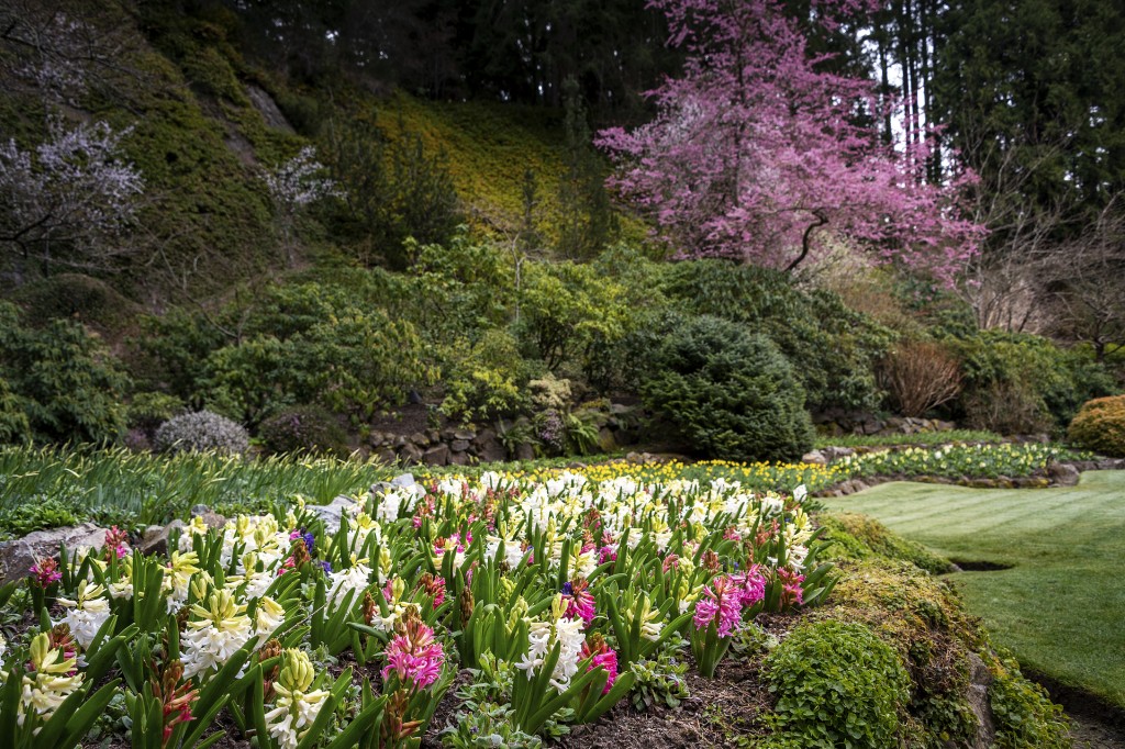 Butchart Gardens Spring