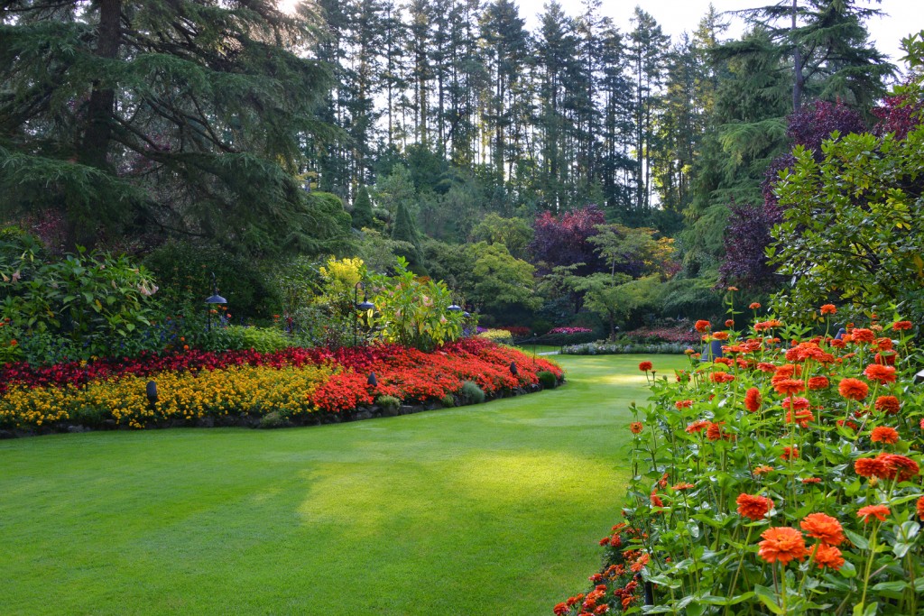 Summer in the Sunken Garden